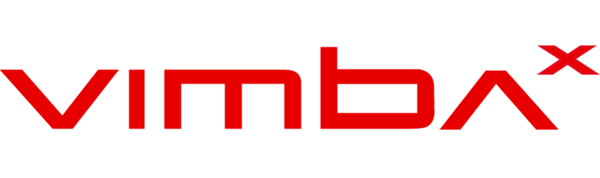 Logo VimbaX transparent above and below